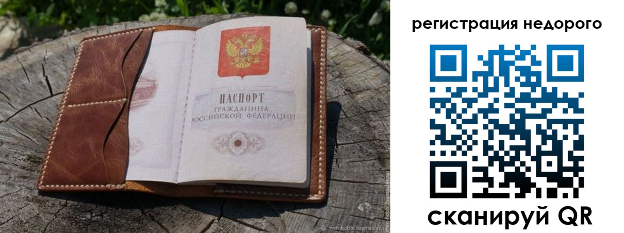 прописка гарантия в Зверево